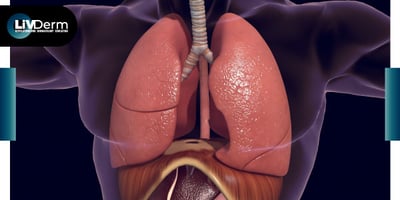Elsevier Introduces First 3D Human Anatomy Model in Different Skin Tones